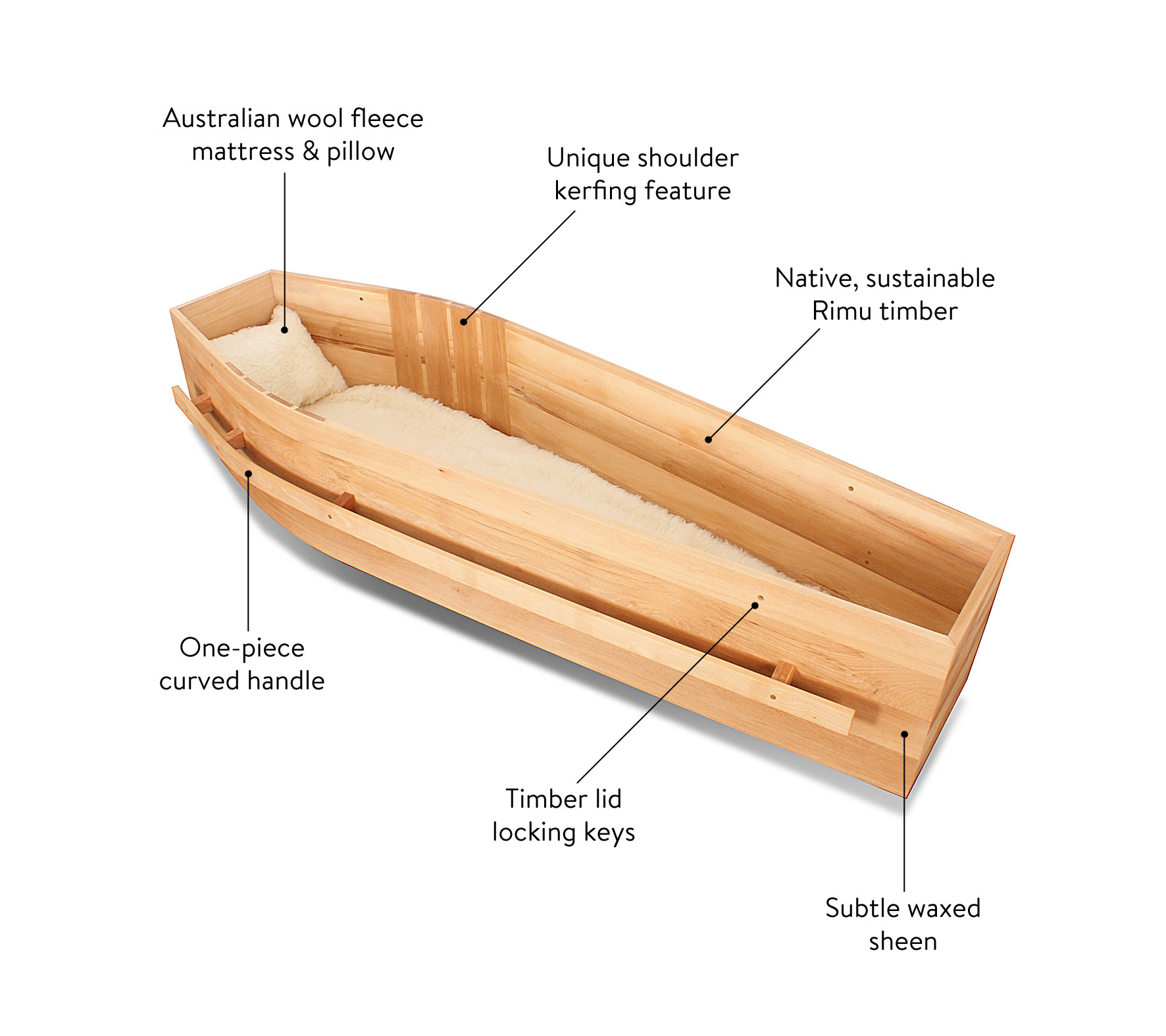 Archetype Rimu coffin diagram